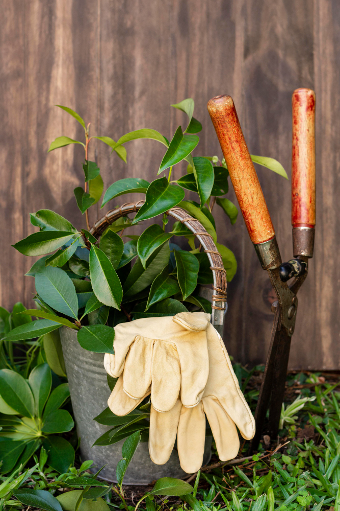 Gardening about us
