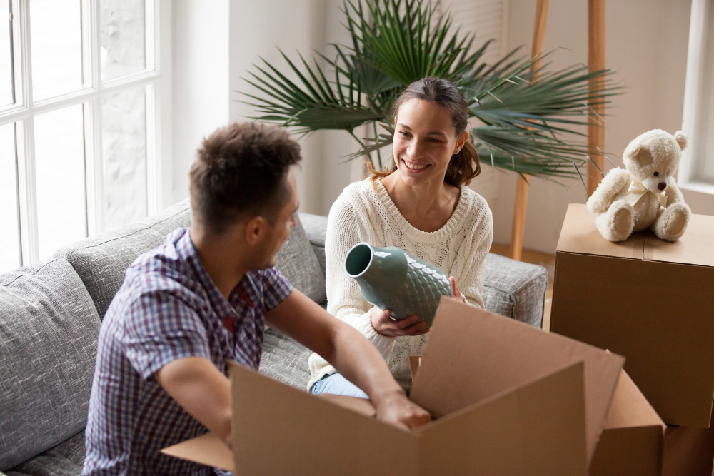 Removals new