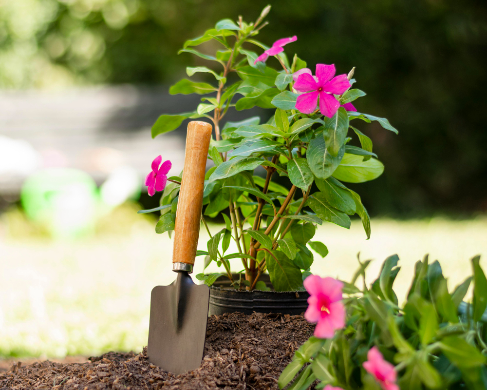 gardening home